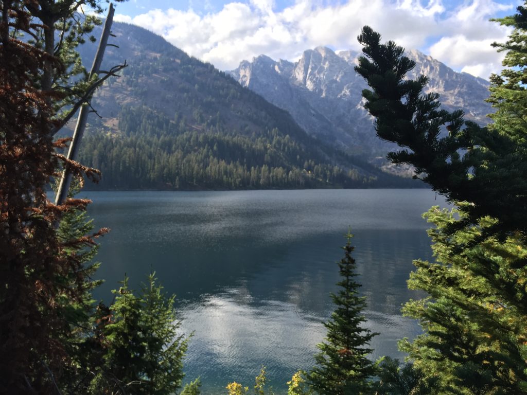 Jenny Lake