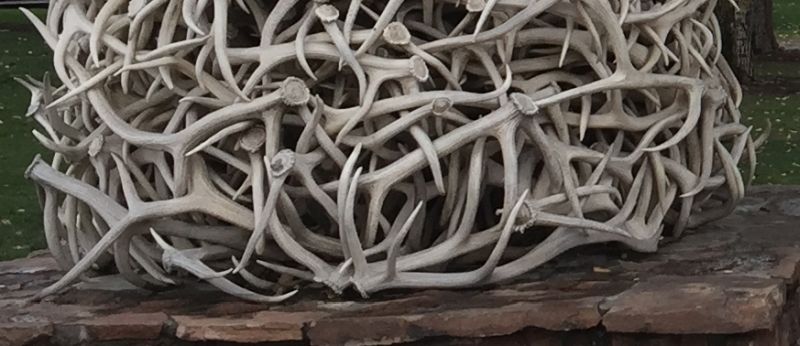 antlerarchbase800x346