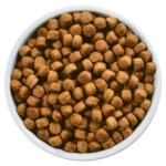 Dog Food Image